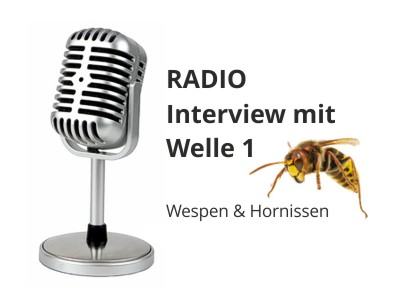 interview welle 1 wespen